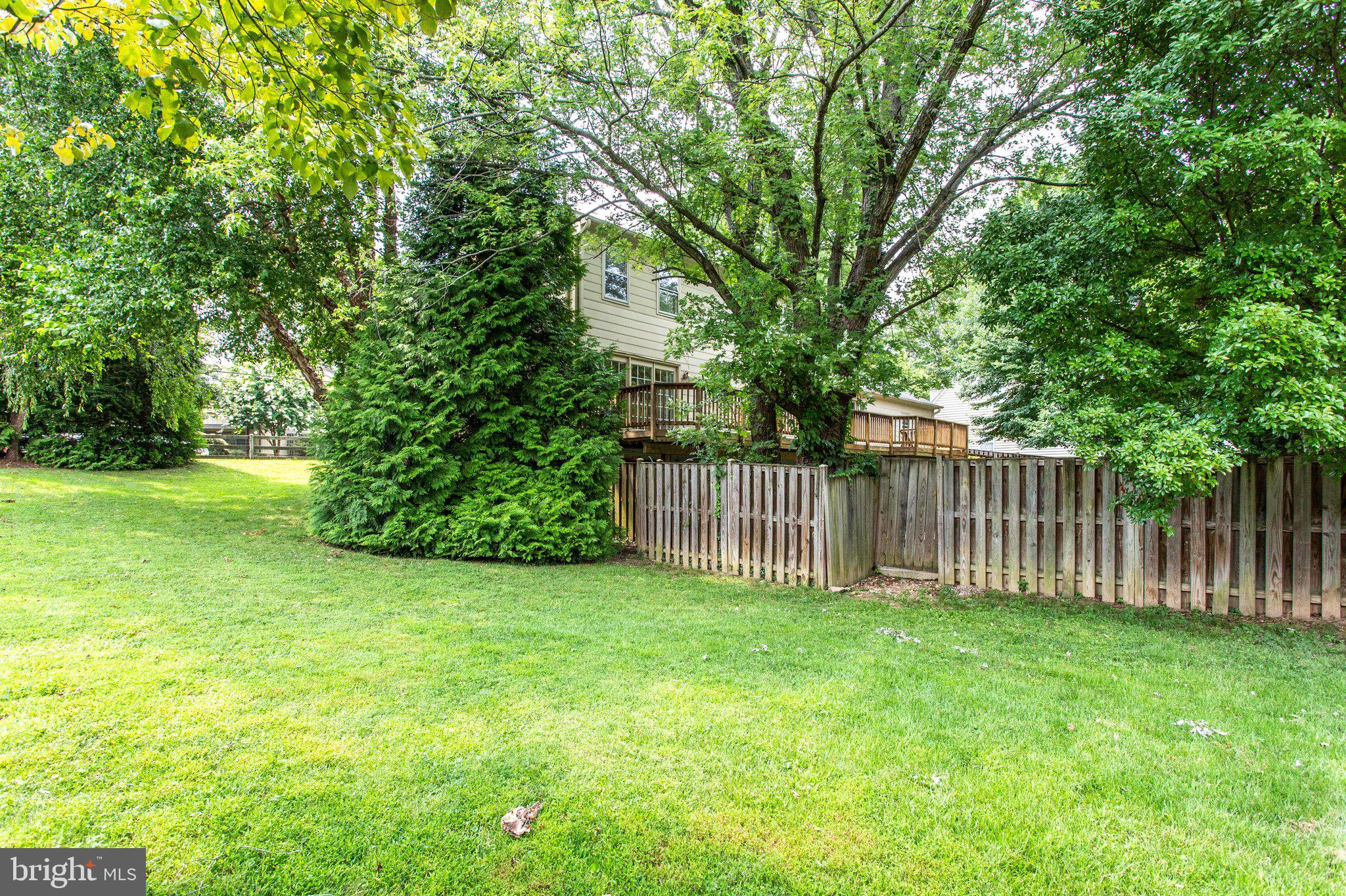 1211 Summit Road McLean, VA 22101 - Photo 46 of 50 Expansive Side Yard