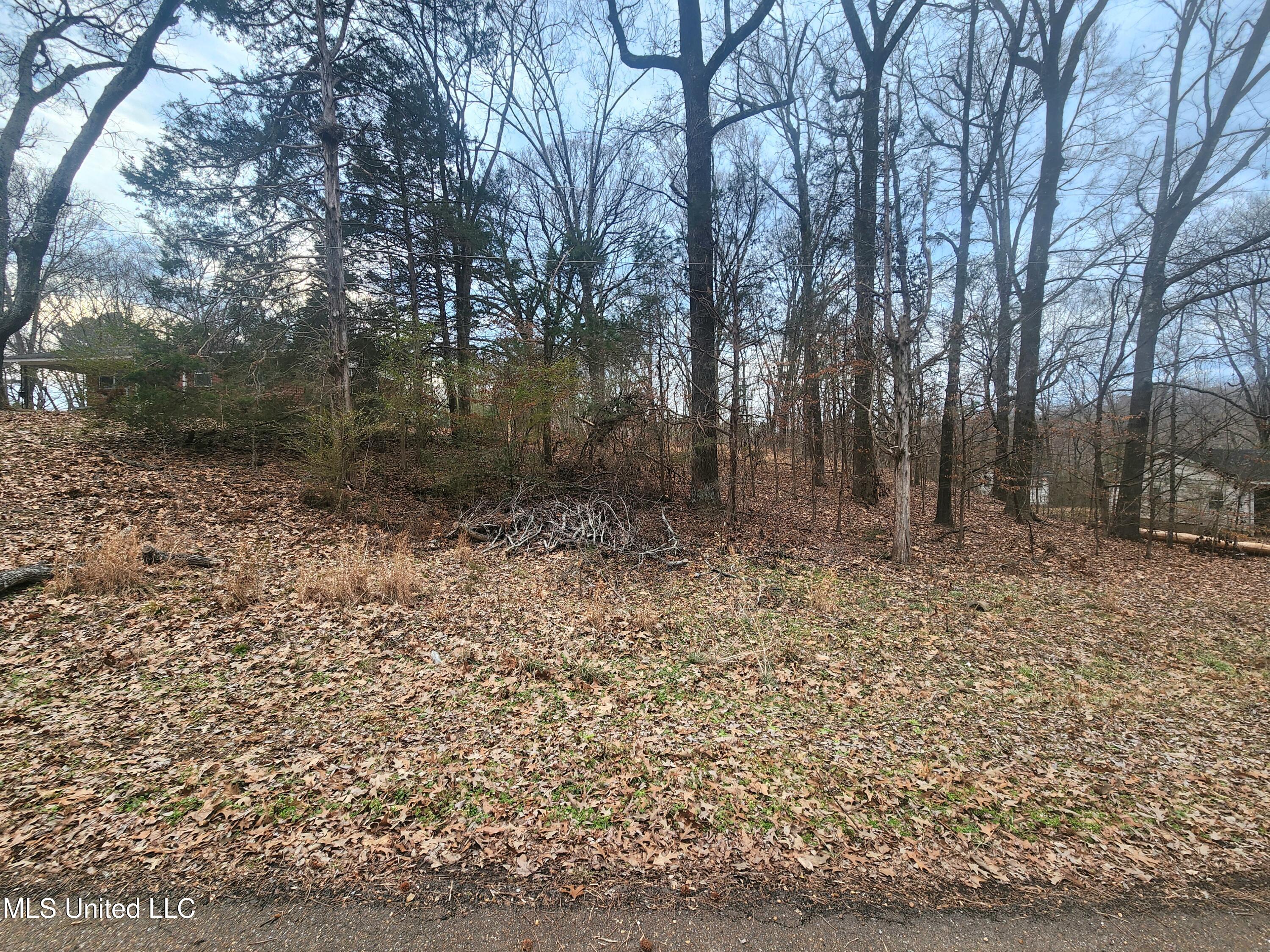 Jackson Road Nesbit, MS 38651 - Photo 1 of 3 20260208_171013