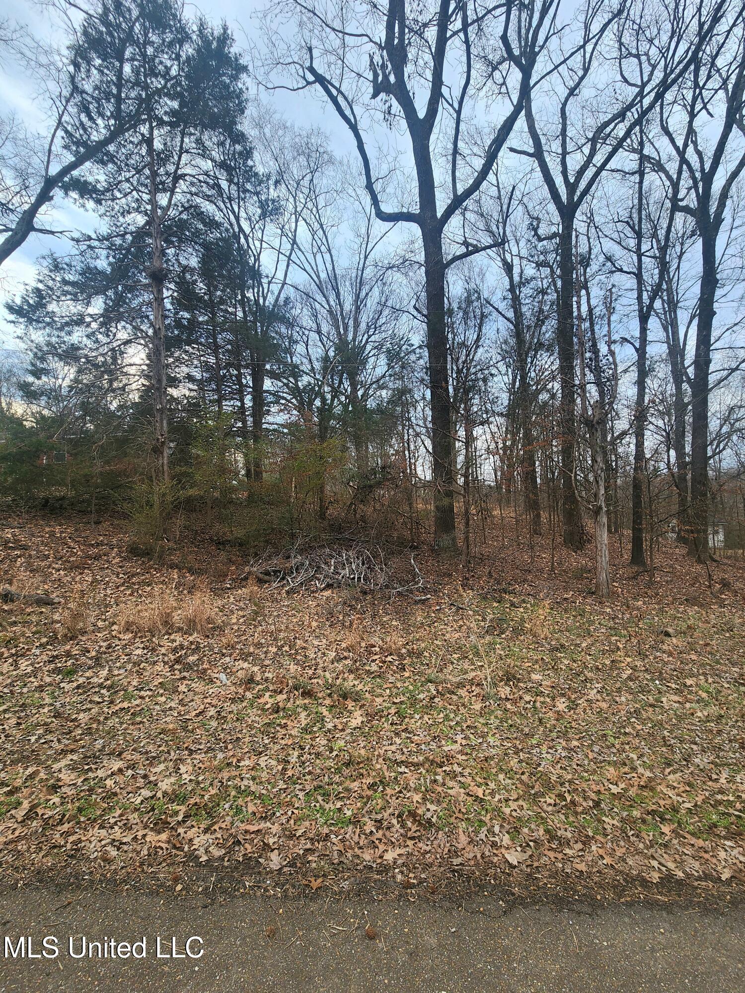 Jackson Road Nesbit, MS 38651 - Photo 2 of 3 20260208_171023