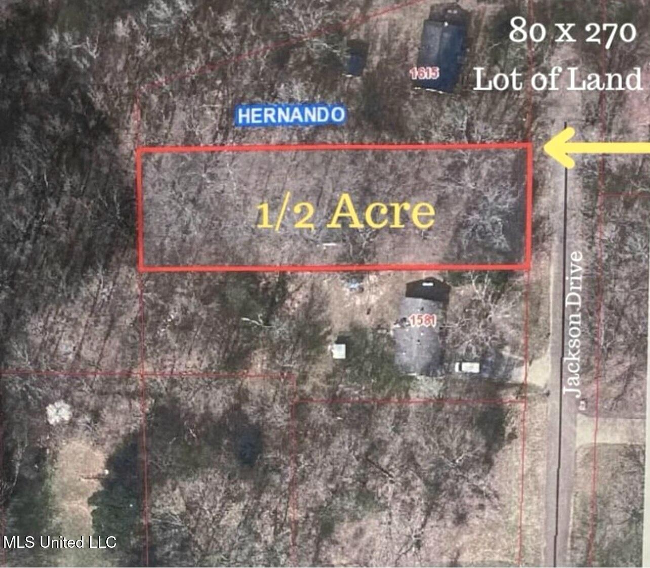 Jackson Road Nesbit, MS 38651 - Photo 3 of 3 IMG_1284