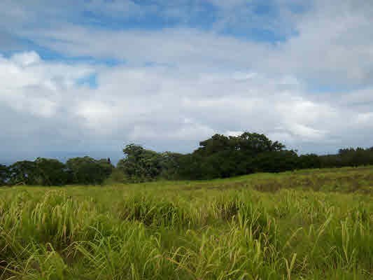 21 Kapehu Road Papaaloa, HI 96780 - Photo 2 of 4