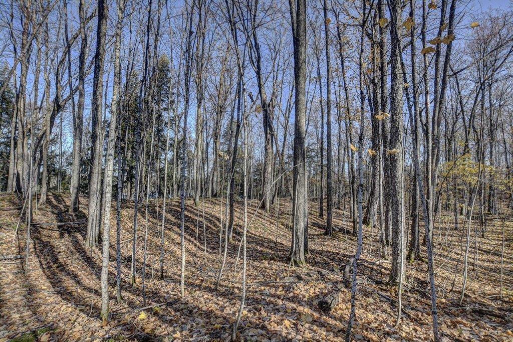 On Timber Wolf Road, Unit LOT #31 Presque Isle, WI 54557 - Photo 13 of 13 Gallery Image 13