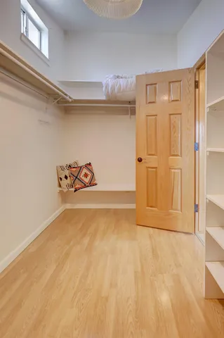 a view of a lush green forest