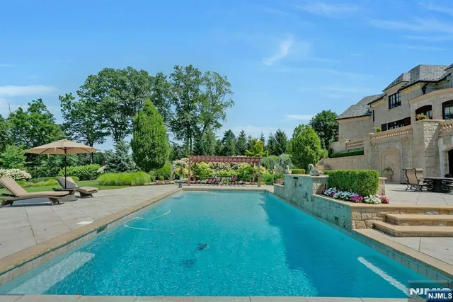 a view of a backyard with plants and a garden