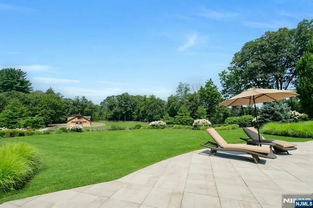 a view of a park with plants and a bench