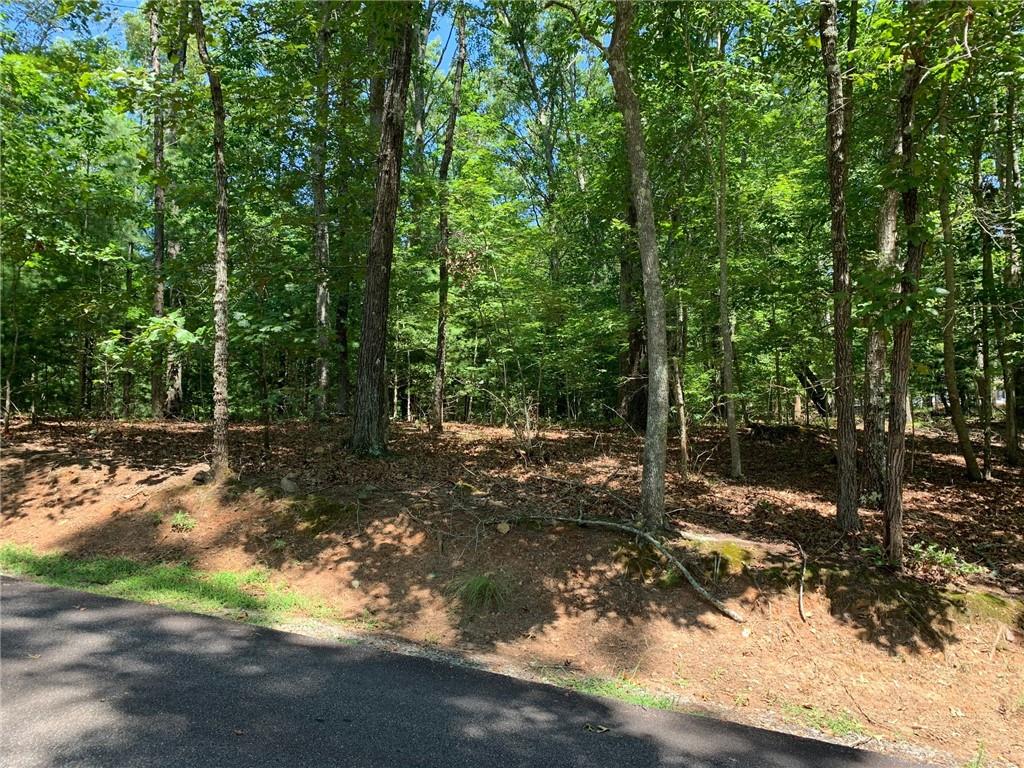 Over 225 feet of frontage on an easy-build lot. Nicely wooded for privacy and a cool summer canopy. Open up a sunny spot under the beautiful blue sky to place your home.