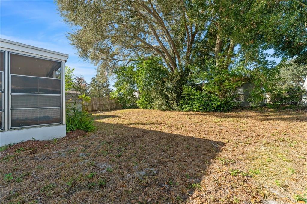 3701 Modesto Street New Port Richey, FL 34655 - Photo 33 of 41 a view of backyard of house