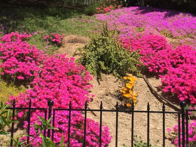 $3,200,000 | 14106 Summit Crest, Escondido, CA 92025