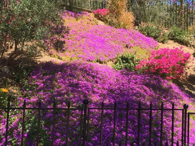 $3,200,000 | 14106 Summit Crest, Escondido, CA 92025