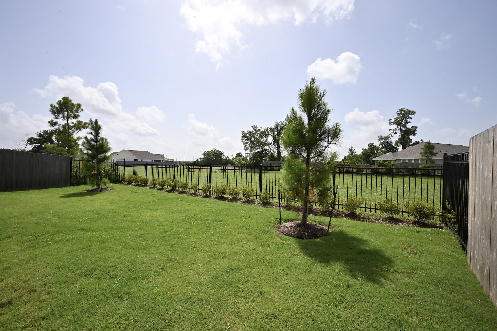 33019 School Hl Road Fulshear, TX 77441 - Photo 22 of 38 a garden with trees in the background