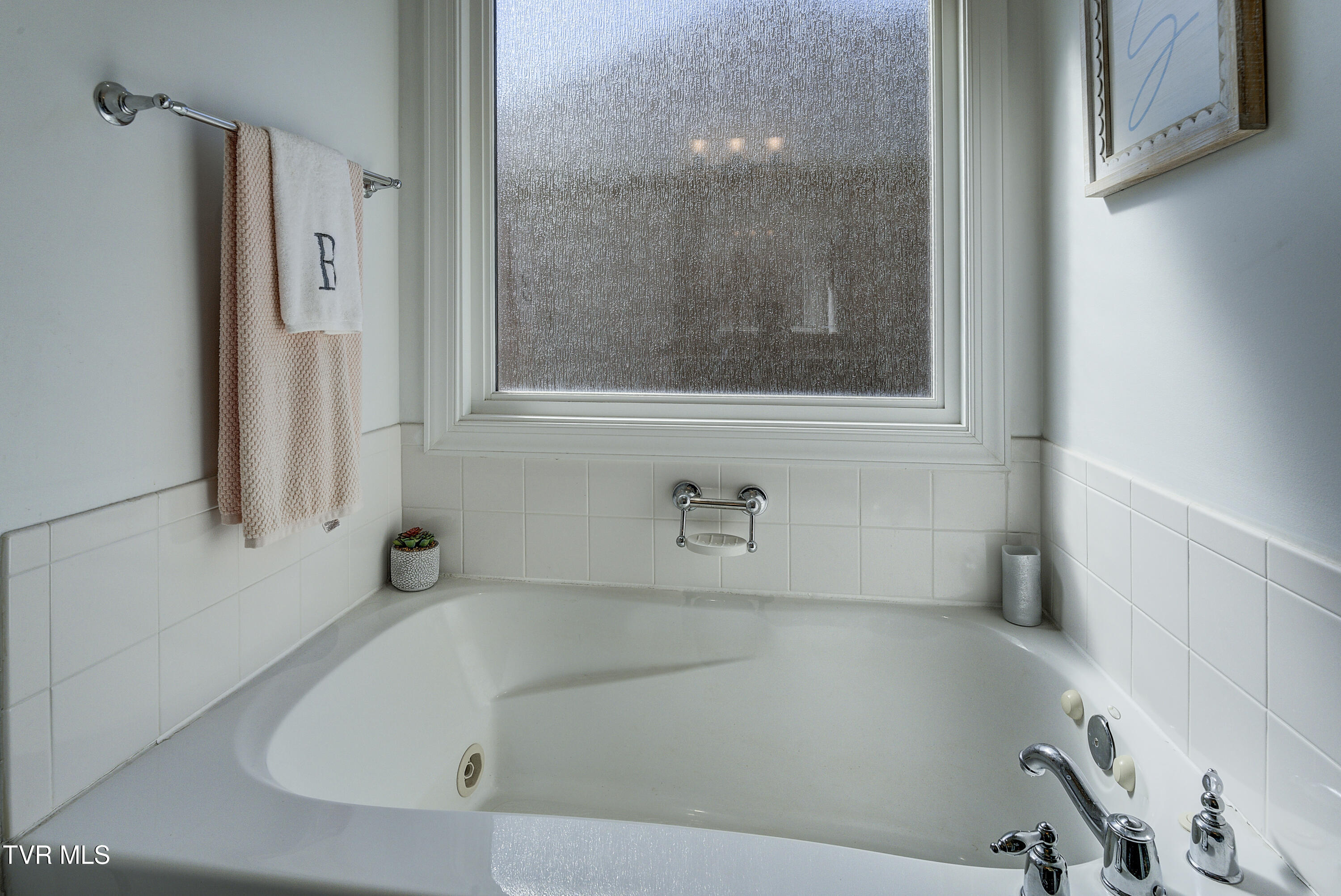 3 Alta Tree Court Johnson City, TN 37604 - Photo 30 of 59 Alta-20