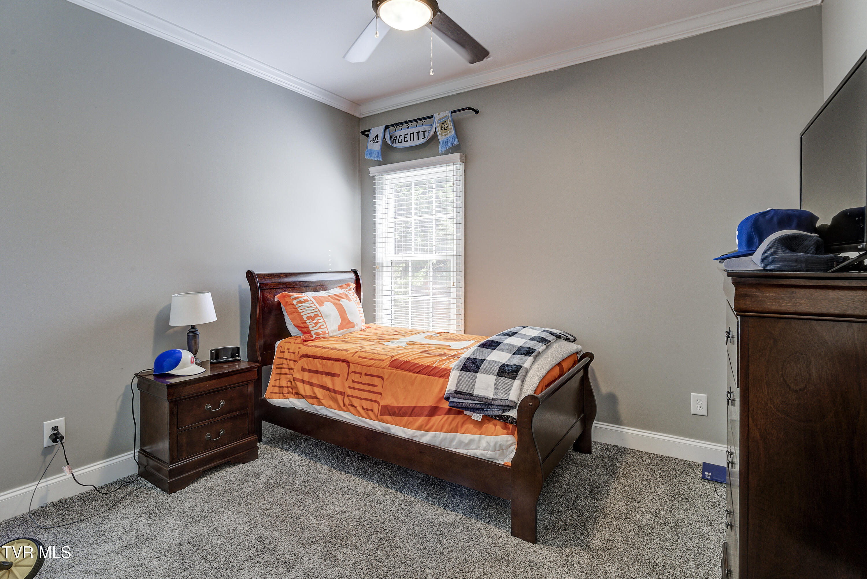 3 Alta Tree Court Johnson City, TN 37604 - Photo 34 of 59 Alta-25