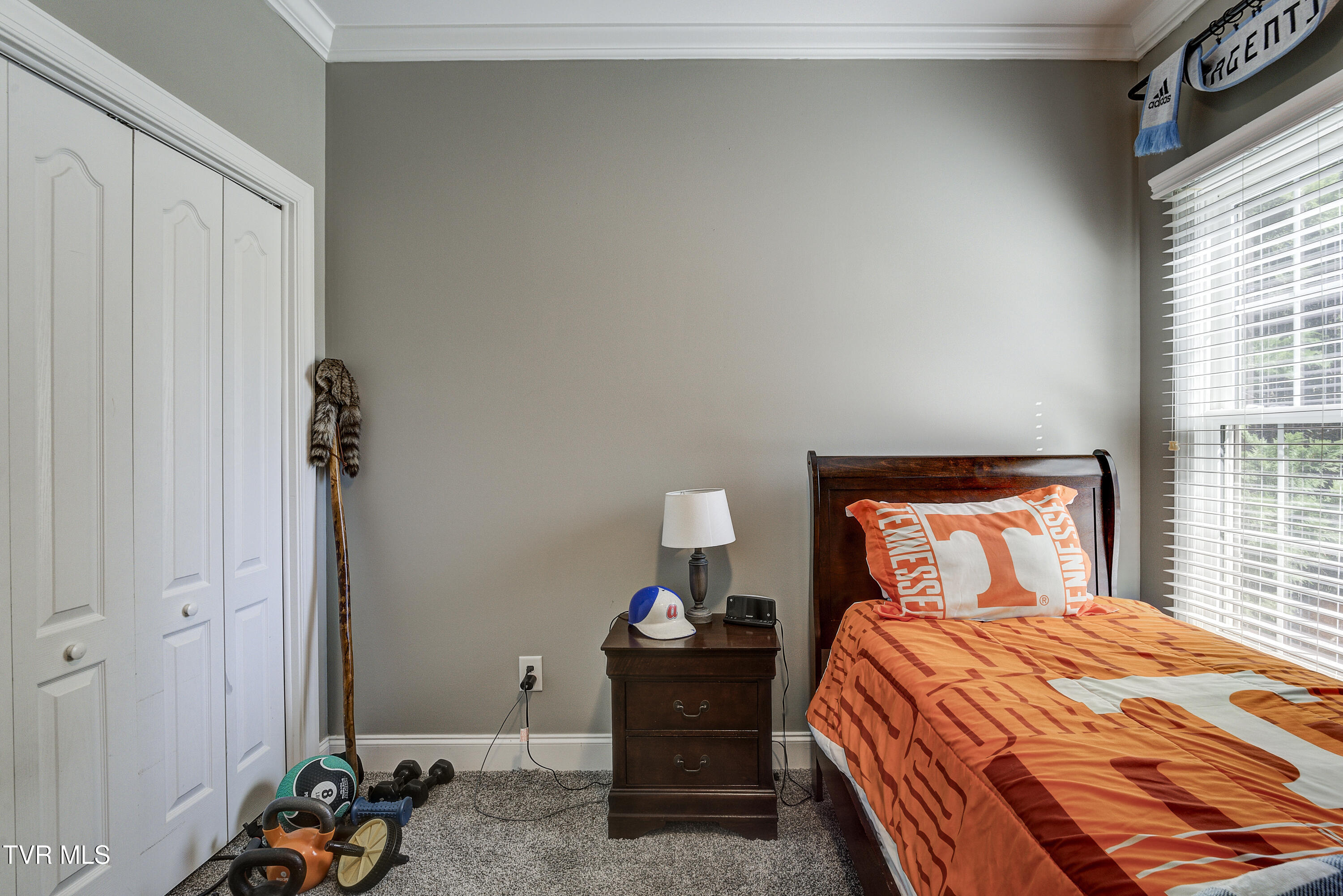 3 Alta Tree Court Johnson City, TN 37604 - Photo 35 of 59 Alta-26