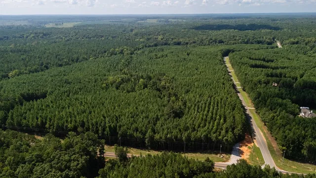 a view of a lush green forest with trees and some houses