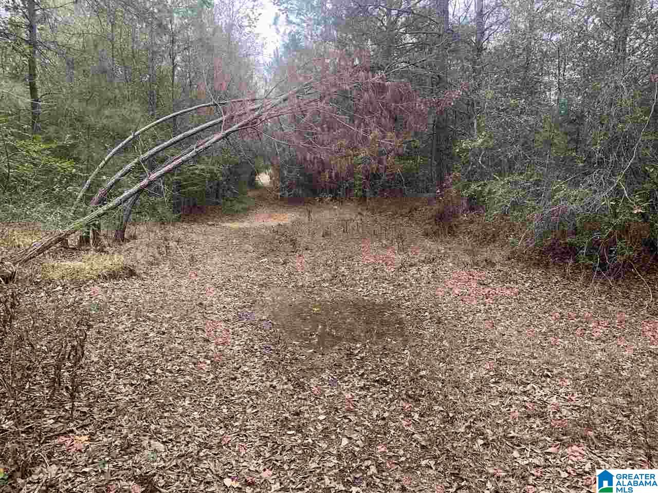 0 Homestead Drive, Unit 1 Springville, AL 35146 - Photo 18 of 32