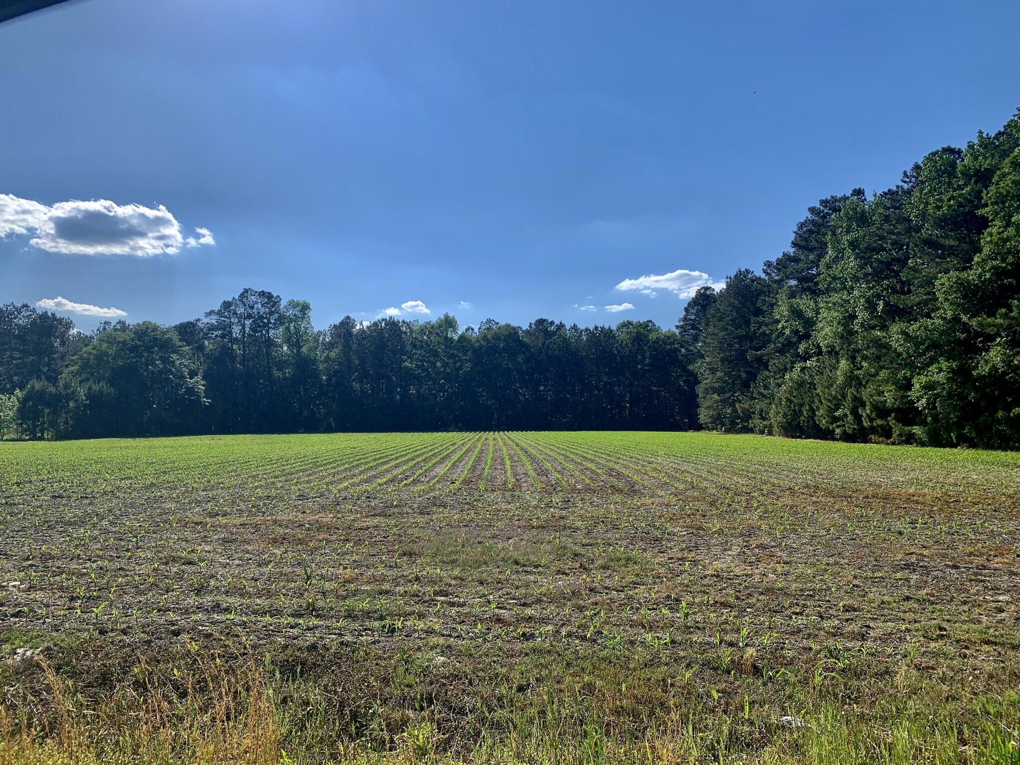 908 2nd Bend Road Harleyville, SC 29448 - Photo 5 of 10 C224E8DD-9BF1-4A6B-9079-E634A1E93AEA