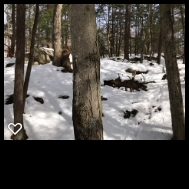 248 Old Turnpike Road Nottingham, NH 03290 - Photo 5 of 6