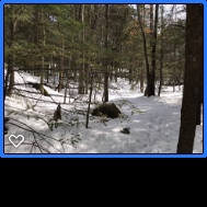 248 Old Turnpike Road Nottingham, NH 03290 - Photo 6 of 6