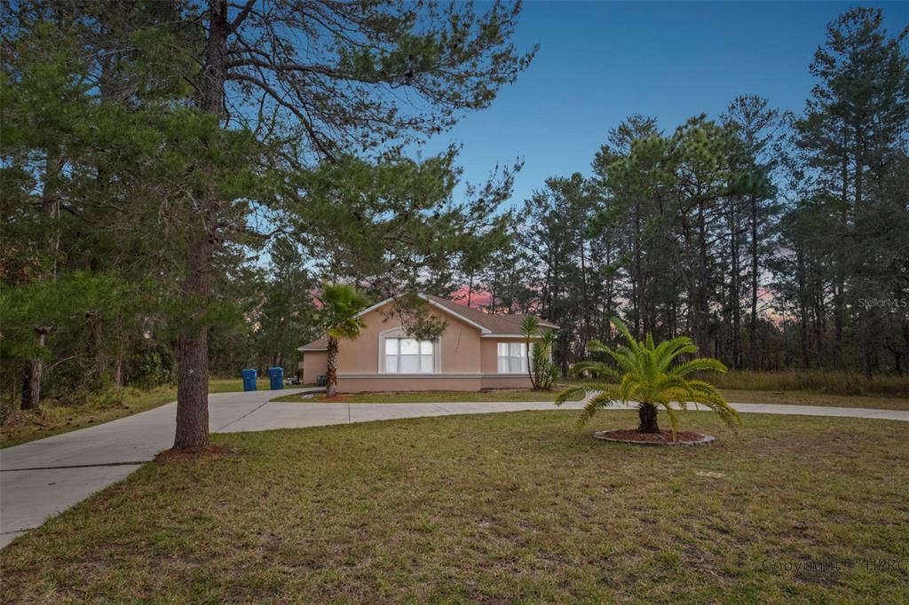 11418 Labrador Duck Road Brooksville, FL 34614 - Photo 1 of 1 Gallery Image 1