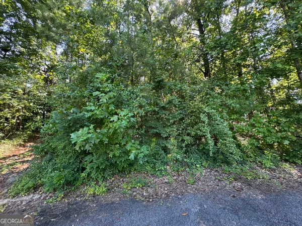 a view of a large yard with lots of green space
