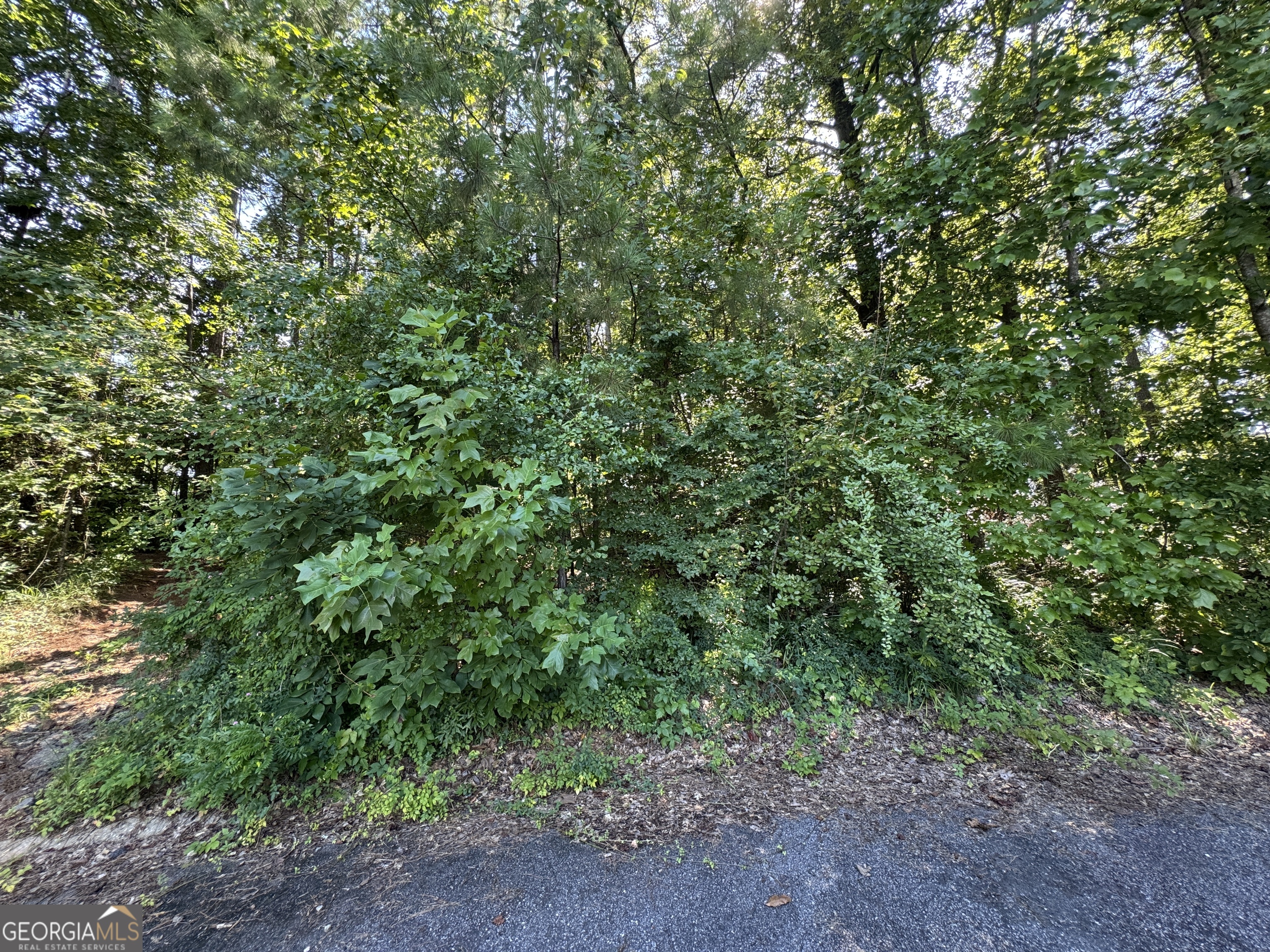 202 Cambridge Way Macon, GA 31220 - Photo 1 of 1 a view of a large yard with lots of green space