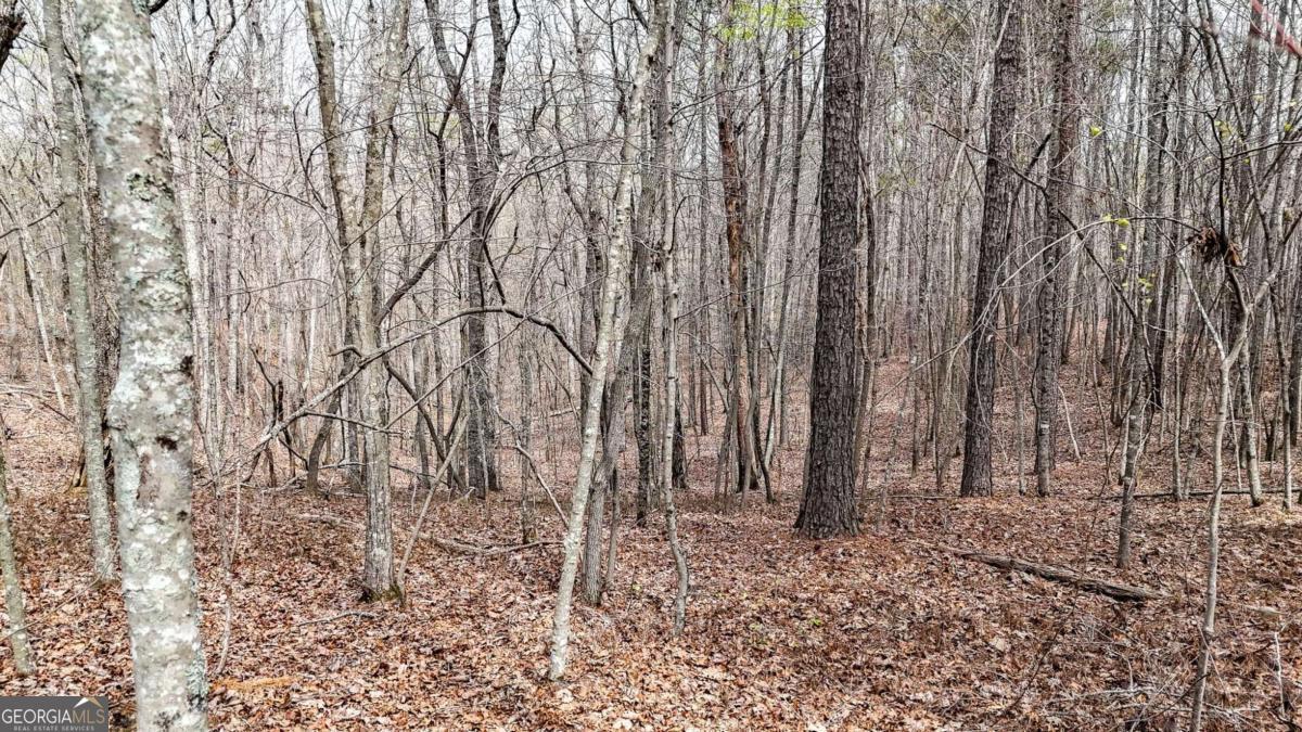 0 Felton Rockmart Road Buchanan, GA 30113 - Photo 33 of 47