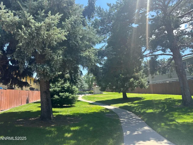 a view of a park with large trees