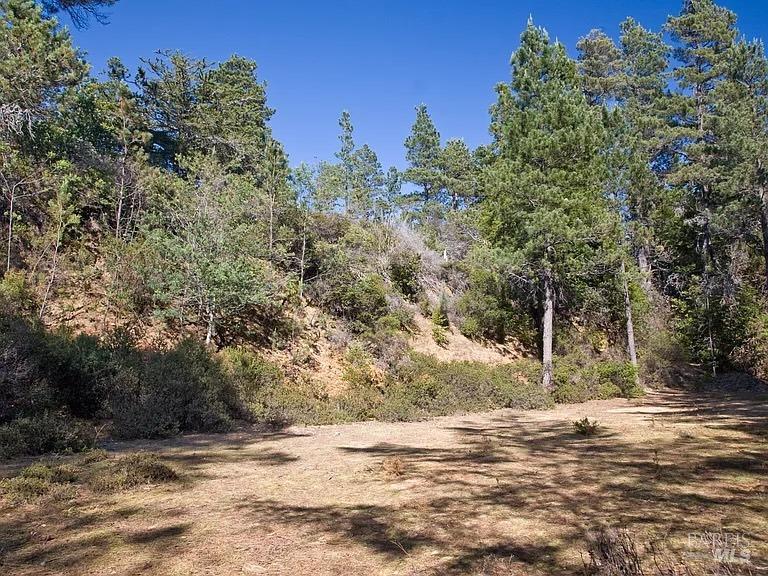 46109 Fish Rock Road Gualala, CA 95445 - Photo 3 of 7