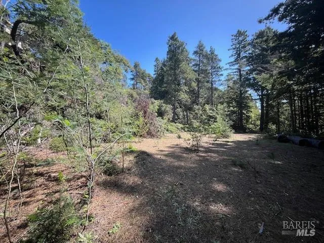a view of field with trees