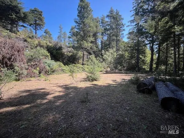 $155,000 | 46109 Fish Rock Road, Gualala, CA 95445