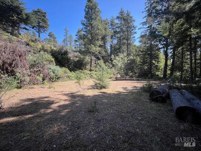 46109 Fish Rock Road Gualala, CA 95445 - Photo 6 of 7