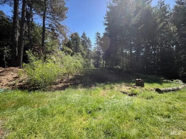 a backyard of a house