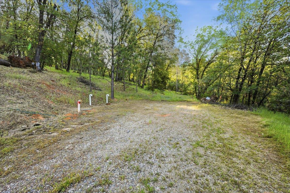 16095 Auburn Road Grass Valley, CA 95949 - Photo 10 of 20