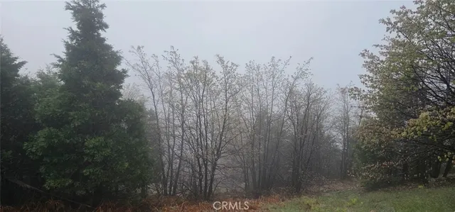 $45,000 | 0 Bridal, Rimforest, CA 92378