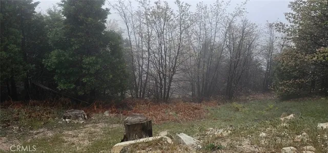$45,000 | 0 Bridal, Rimforest, CA 92378