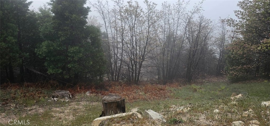 0 Bridal Rimforest, CA 92378 - Photo 3 of 5