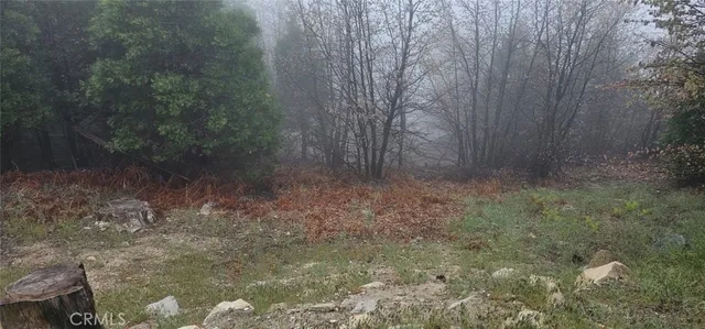 $45,000 | 0 Bridal, Rimforest, CA 92378