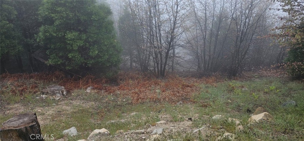 0 Bridal Rimforest, CA 92378 - Photo 5 of 5