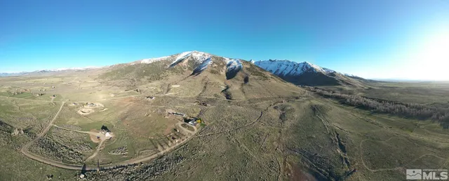 a view of a dry yard