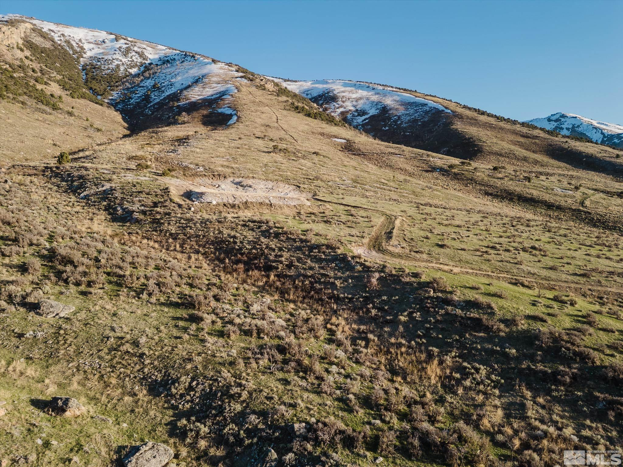Tbd Sustacha Drive Lamoille, NV 89828 - Photo 9 of 27