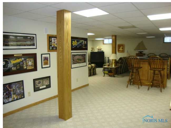 305 Schlatter Road Archbold, OH 43502 - Photo 13 of 20 Gallery Image 13