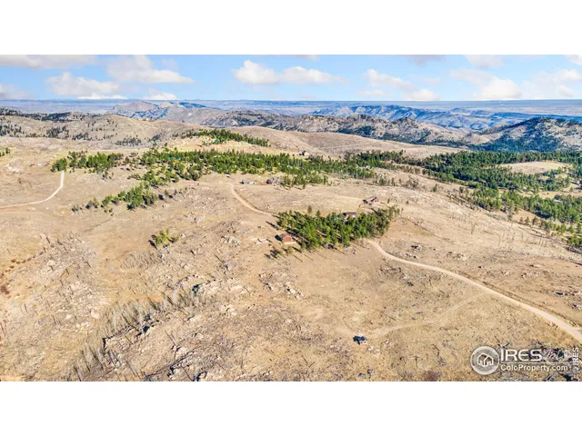 a black and white photo of a beach