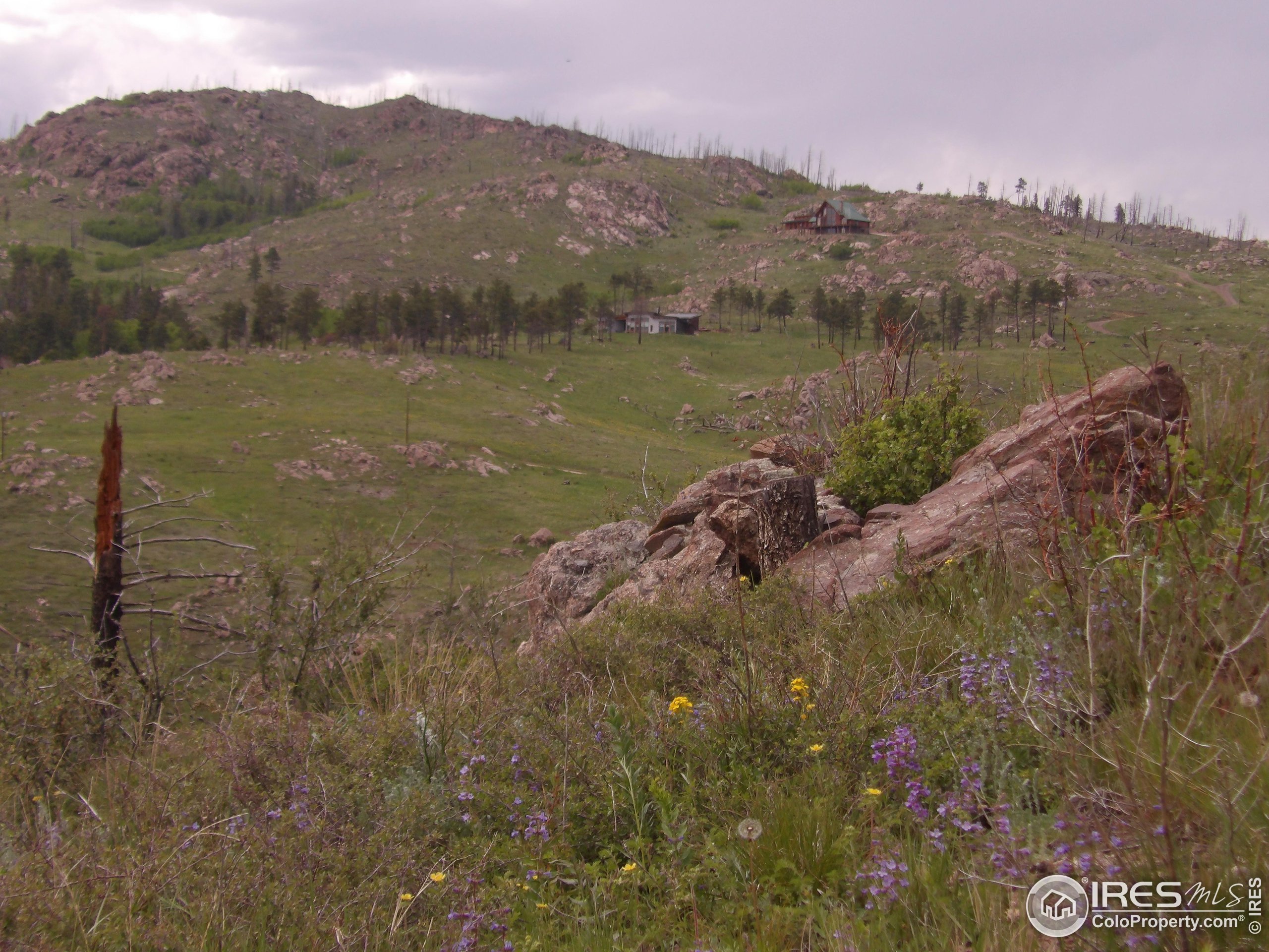 3434 Davis Ranch Road Bellvue, CO 80512 - Photo 19 of 30 a view of a lake with a mountain in the background