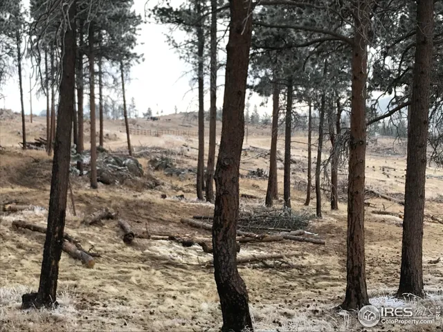 a view of outdoor space