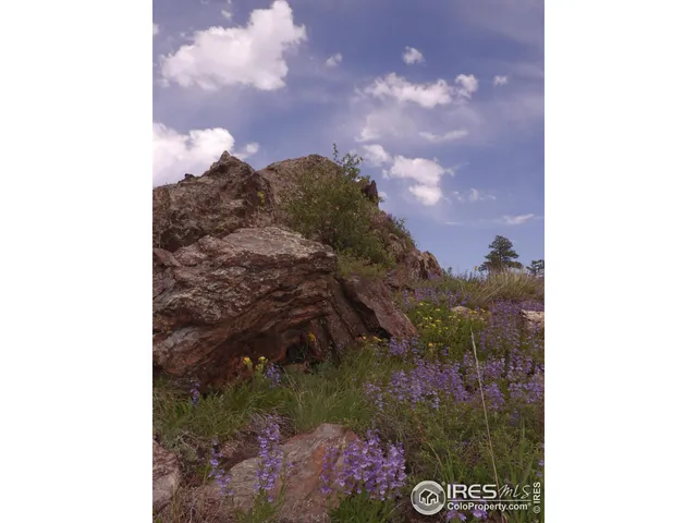 a big room with trees in the background