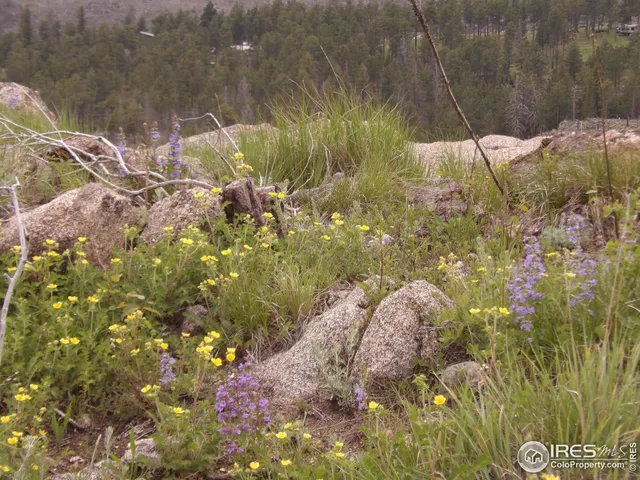 a view of outdoor space