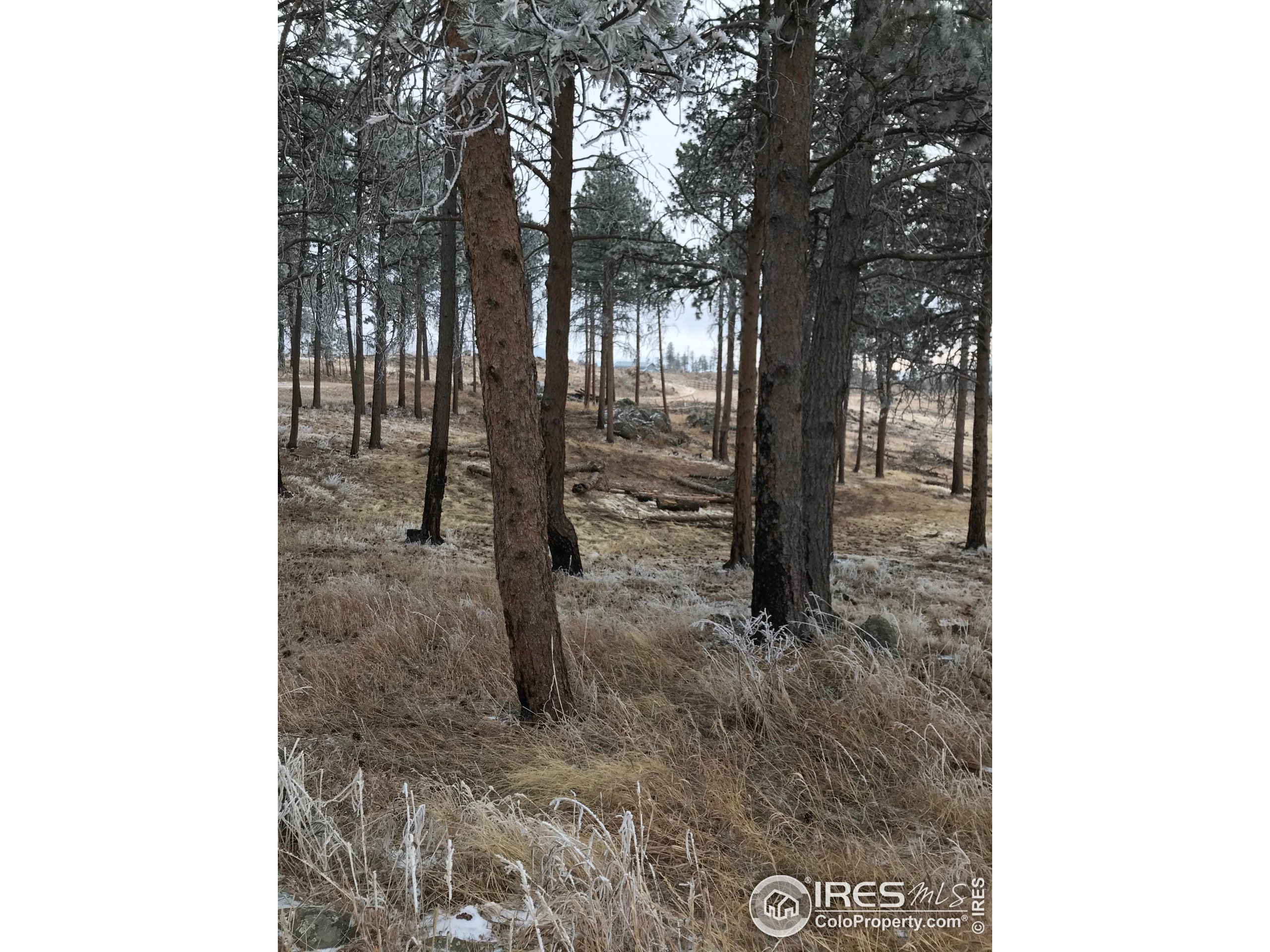 3434 Davis Ranch Road Bellvue, CO 80512 - Photo 27 of 30 a view of outdoor space