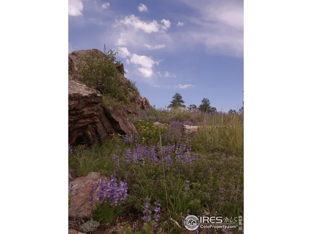 $340,000 | 3434 Davis Ranch Road, Bellvue, CO 80512
