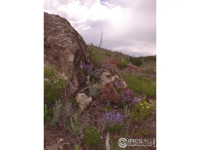 $340,000 | 3434 Davis Ranch Road, Bellvue, CO 80512