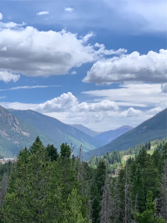 117 Lake Ridge Circle, Unit 1865 Keystone, CO 80435 - Photo 23 of 43 Gallery Image 23